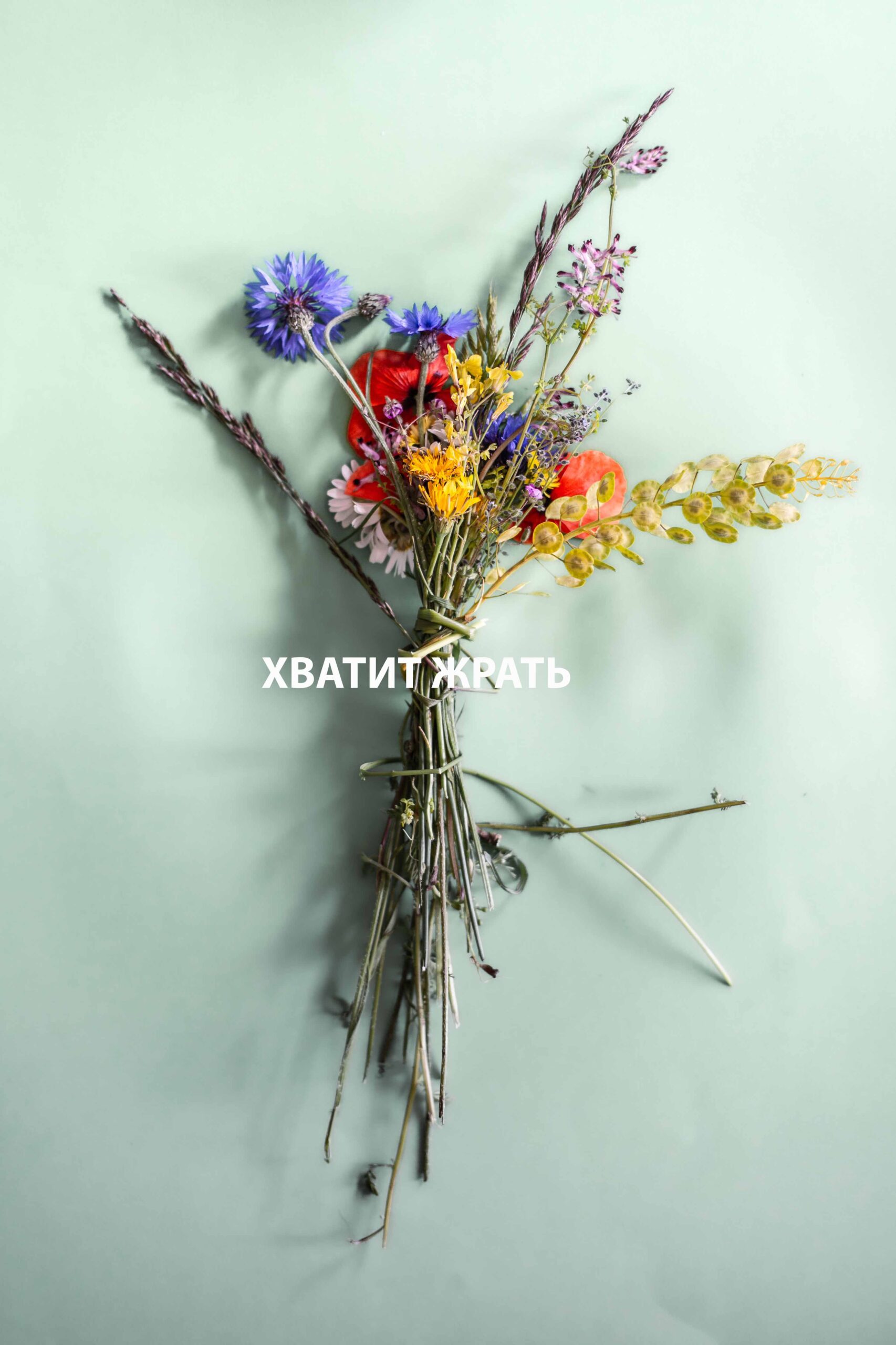 Веник жрать